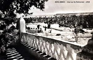 Beni-Abbes - Palmeraie - 1958